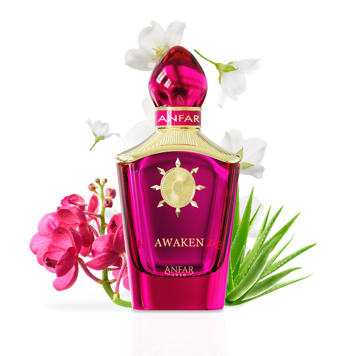 Anfar 1950 Awaken bottle with fragrance notes