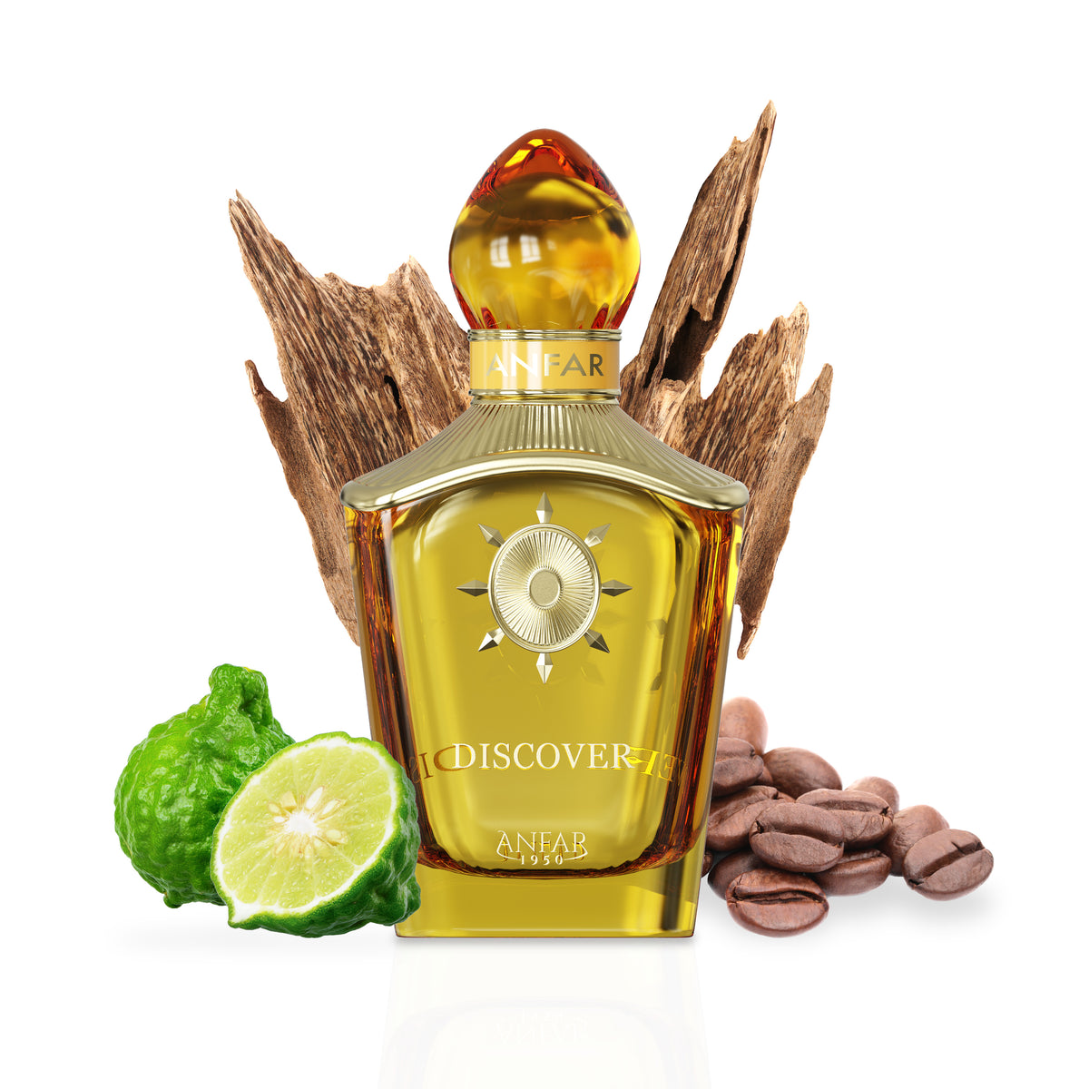 Anfar 1950 Discover bottle with fragrance notes